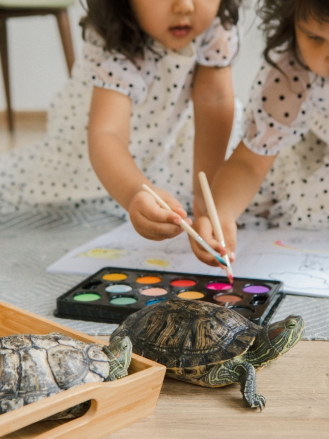 Wildlife Art Contest Competition
